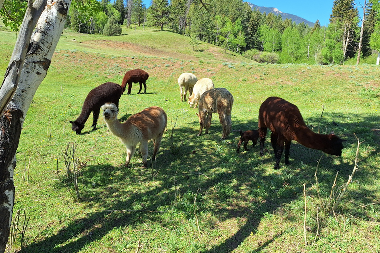 Wandern und Zelten in Colorado - 2 Tagestour