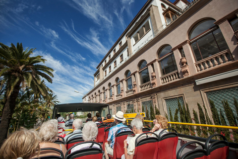 City Sightseeing: Santa Cruz de Tenerife HOHO Bus Tour 24-Hour Hop-On Hop-Off Bus Tour