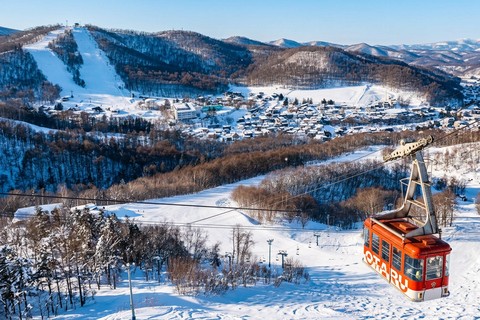 Hokkaido: Hill of the Buddha&Otaru, Mount Tengu Day Trip