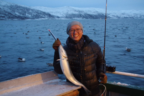 Tromsø sea safari