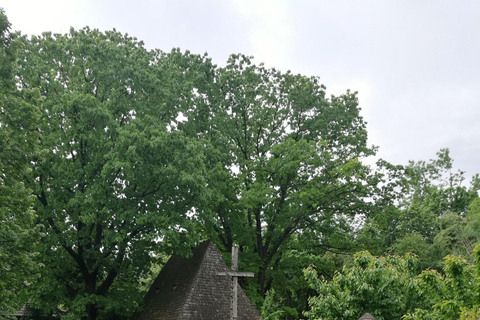 Bukarest: Village Museum Guided Tour