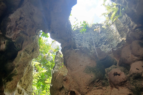 桑给巴尔：穆尤尼村之旅和姆滕德海滩放松体验私人观光（含接送服务）