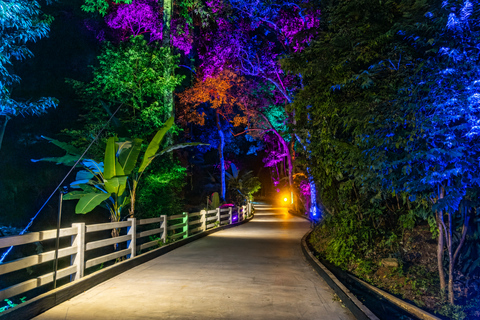Phuket: Hanuman Luge Night Exclusive with Transfer or Dinner Luge 2 Rides + Dinner + Skywalk OR Luge Phone Head Mount