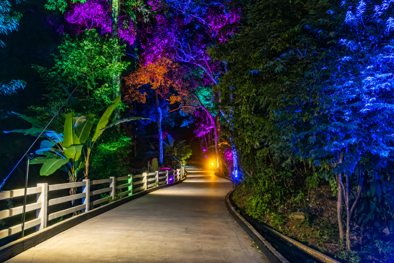 Phuket: Hanuman Luge Night Exclusive with Transfer or Dinner Luge 2 Rides + Dinner + Skywalk OR Luge Phone Head Mount