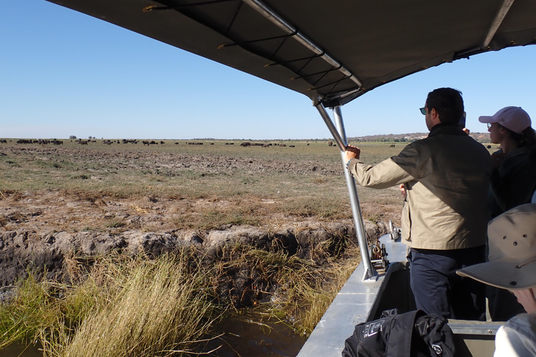 Chobe River Safari Cruise with Professional Guide