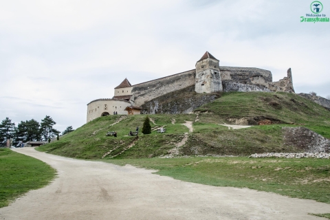 Excursion d'une journée au château de Bran, à la forteresse de Rasnov et au sanctuaire des ours
