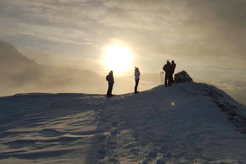 Tromsø: Guided snowshoe hill hike