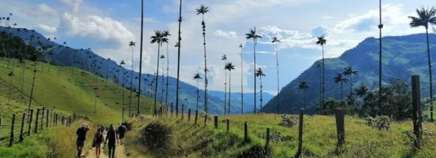 Salento : Circuit Salento et vallée de Cocora