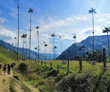 Salento: Excursão ao Salento e ao Vale de Cocora