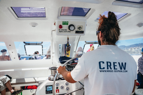 Funchal: osservazione di delfini e balene in catamarano di lusso