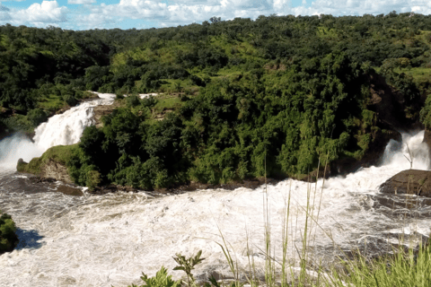 UGANDA: Cataratas Murchison, Queen Elizabeth y Ziwa en 7 días