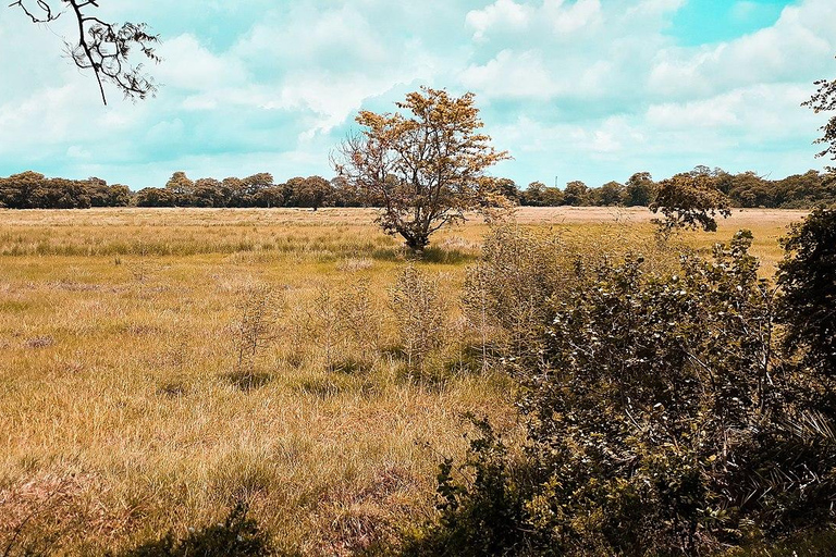 Sri Lanka: 12-tägige Tour mit Entdeckung des reichen Erbes