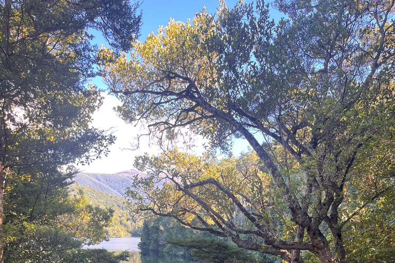 Discovery Cruise Te Anau Fiordland Discovery Cruise