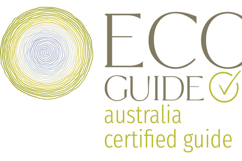 Whitsundays: Bushwalk Eco Adventure & 50s Diner Experience