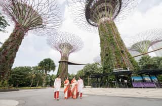 Singapur Fotografie: Marina Bay Sands & Gardens by the Bay