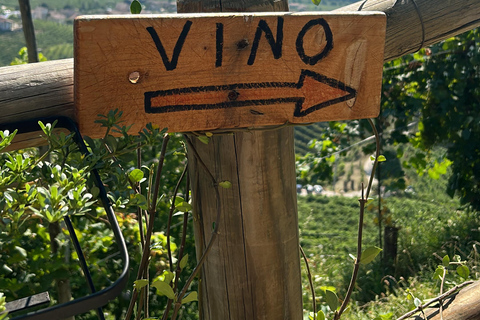 بروسيكو: وليمة النبيذ والطعام في أوستريا عائلية