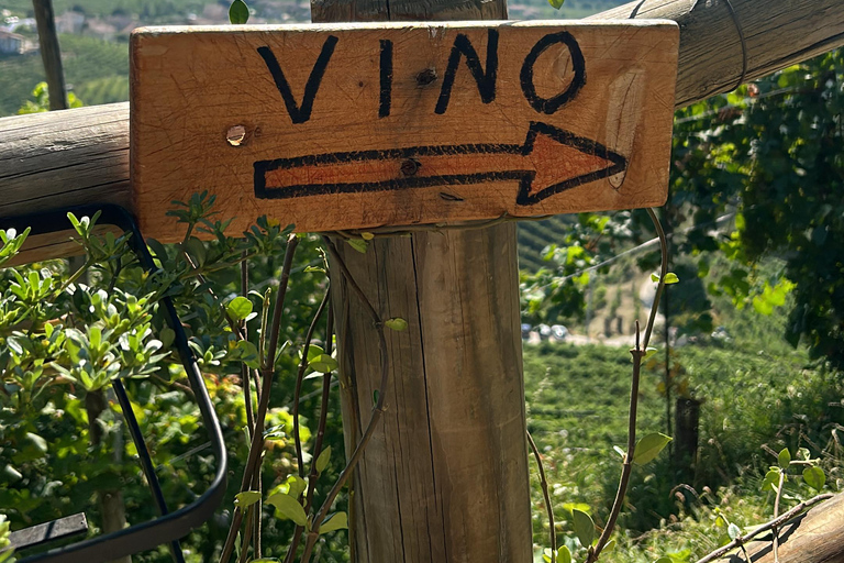 بروسيكو: وليمة النبيذ والطعام في أوستريا عائلية