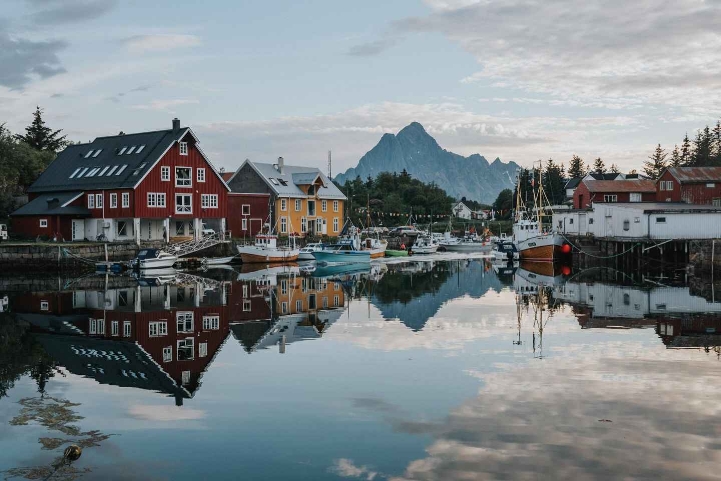 Recorrido panorámico por Lofoten: Tour de medio día
