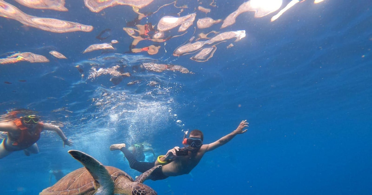 Tenerife Kayak safari with Snorkeling, All Inclusive GetYourGuide