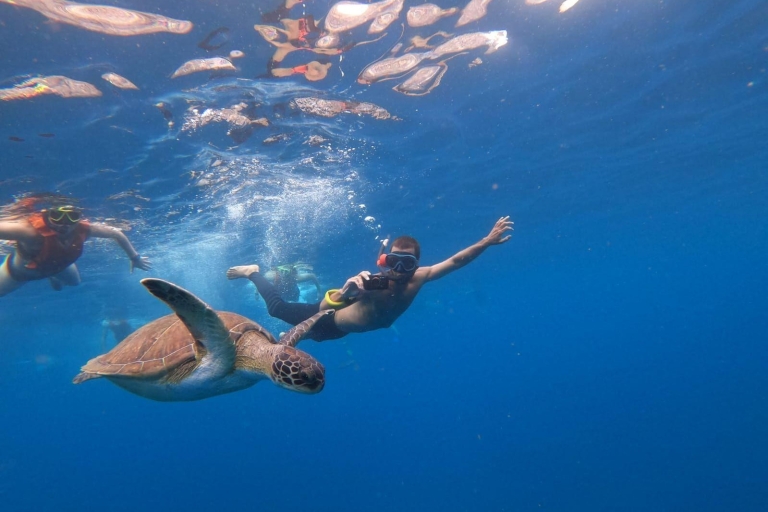 Teneryfa: Kayak con Snorkel, odkrywaj tortugas i delfinesTeneryfa: kajaki i snorkeling z tortugas i delfines