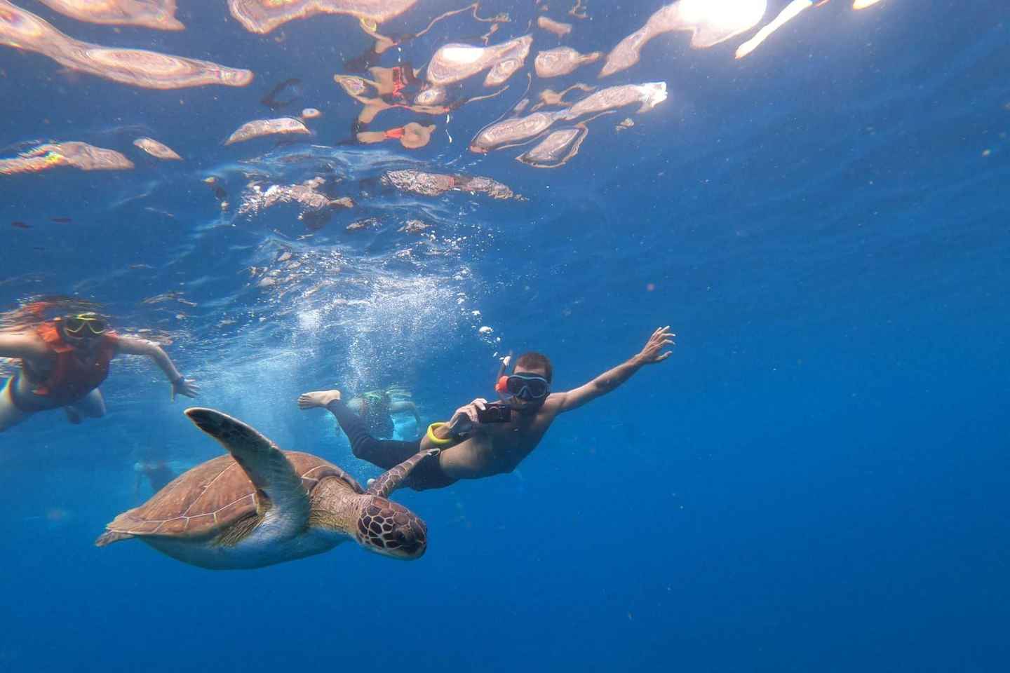 Tenerife: Kayak Sea Safari with Snorkel and Snacks