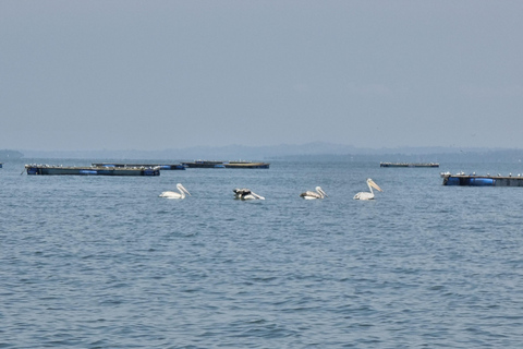 Bootsfahrt auf dem Viktoriasee und Nilpferdjagd in Kisumu