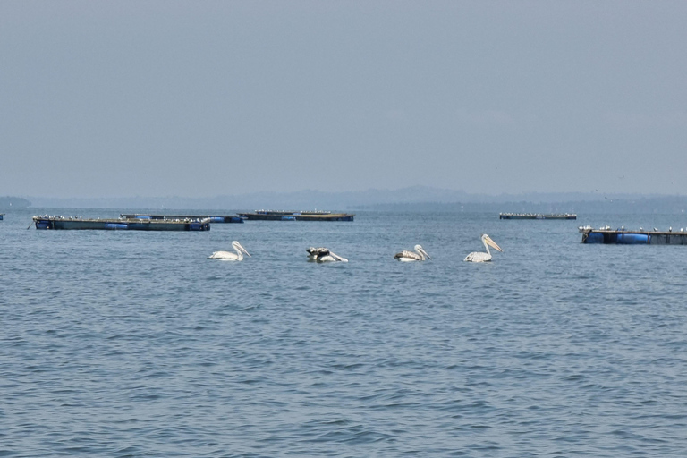 Paseo en barco por el Lago Victoria de Kisumu y caza del hipopótamo