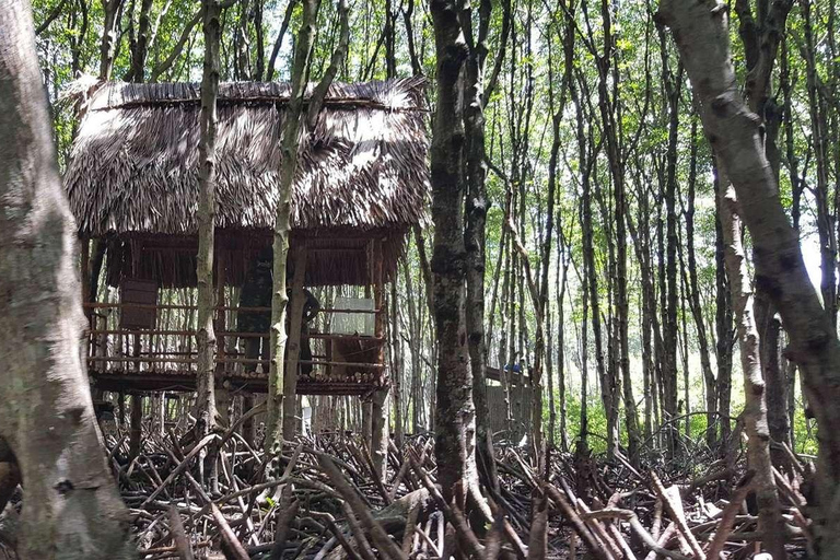 Tour di un giorno della Foresta delle Mangrovie e dell&#039;Isola delle Scimmie di Can Gio