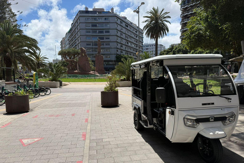 Discover the History and Viewpoints of Las Palmas (GC) by Tuk Tuk (90 min.)