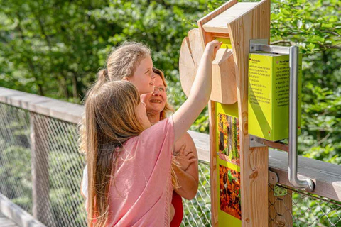 Usedom: Treetop Walk Adventure on Usedom Island