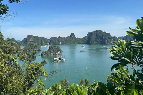 下龙湾豪华游轮一日旅行选项2：从河内老城区接客