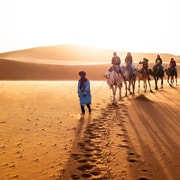 3 tägige Wüstentour von Marrakesch nach Merzouga GetYourGuide