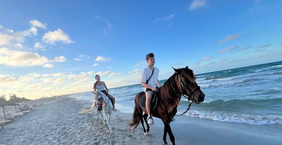 Djerba: Beginner Horse Riding Lesson for Adults and Children.
