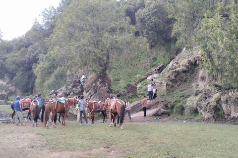 من أديس أبابا: رحلة نهارية من أديس أبابا إلى بحيرة ونشي كريتر مع وجبة غداء