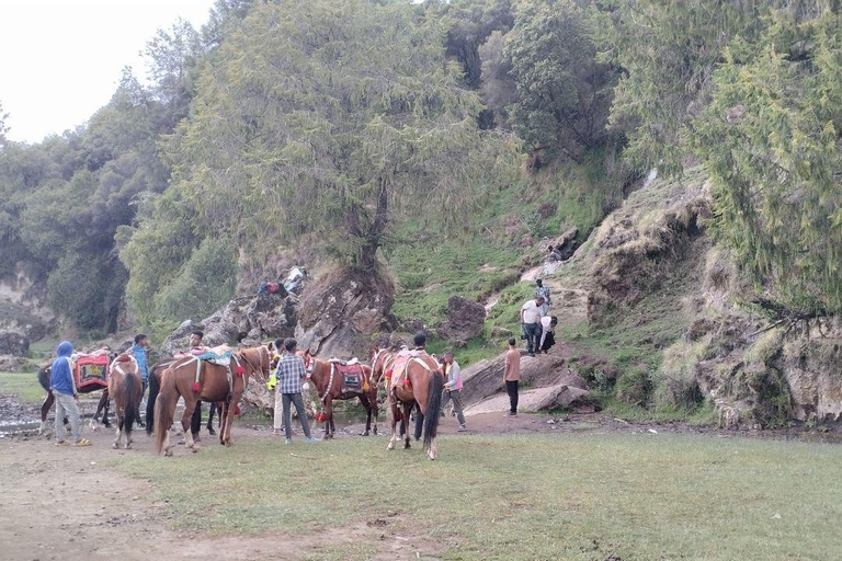 من أديس أبابا: رحلة نهارية من أديس أبابا إلى بحيرة ونشي كريتر مع وجبة غداء
