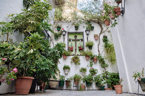 Desde Córdoba: Excursión privada de medio día a los Pueblos Blancos