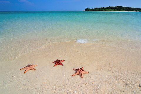 PETIT TOUR DE BORACAY- CALATAGAN BATANGAS (DE MANILLE)PETIT BORACAY 6-13 PAX