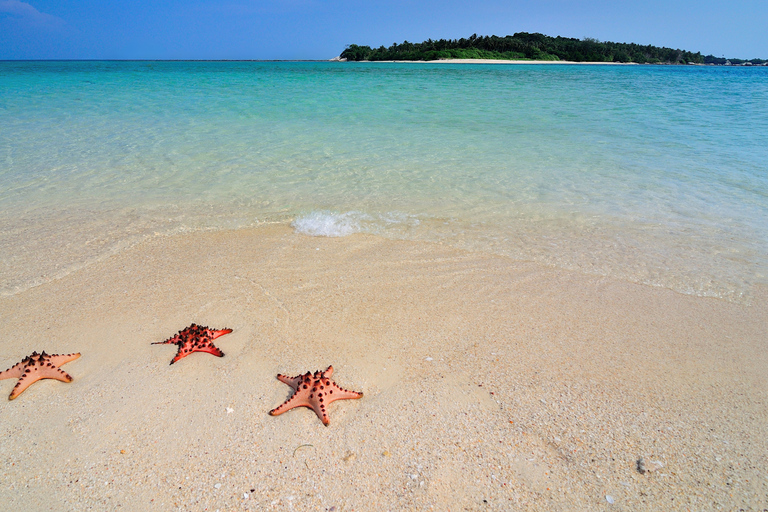 LITTLE BORACAY- CALATAGAN BATANGAS DAYTOUR (FROM MANILA) LITTLE BORACAY 6-13 PAX