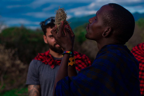 Arusha: 3-tägige Camping-Safari zum Ngorongoro und in die Serengeti