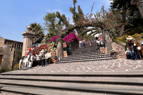 Guadalupe's shrine: 2 hours private tour with transport Guadalupe's shrine: 2 hours private tour in all the complex