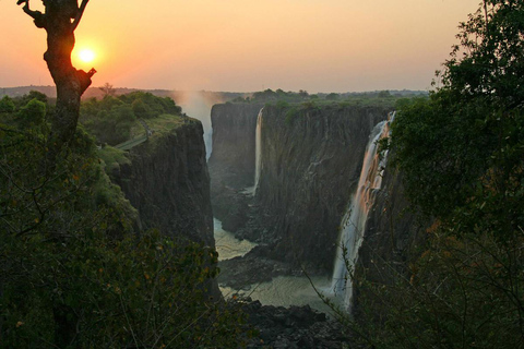 Livingstone: Victoria Falls Guided Tour & Rhino Tracking