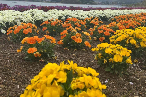 Tokyo: Mount Fuji Affordable Customizable Private 1-Day Tour Mount Fuji one day Private tour in Luxury Land Cruiser