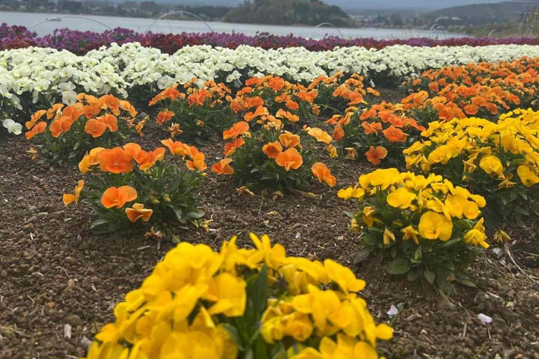 Tokyo: Mount Fuji Affordable Customizable Private 1-Day Tour Mount Fuji one day Private tour in Luxury Land Cruiser