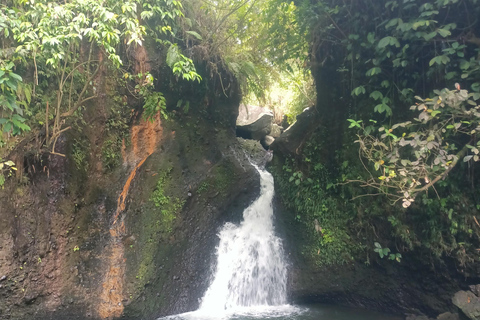 特特巴图：瀑布、香料、梯田、猴子森林特特巴图之旅、香料、瀑布、梯田、猴林