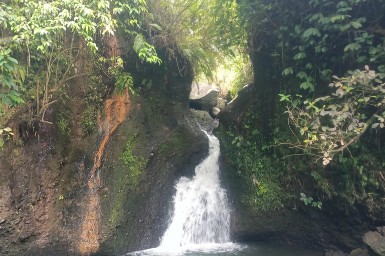 特特巴图：瀑布、香料、梯田、猴子森林特特巴图之旅、香料、瀑布、梯田、猴林