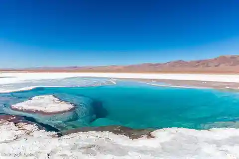 7 lagoas de Baltinache | San Pedro de Atacama