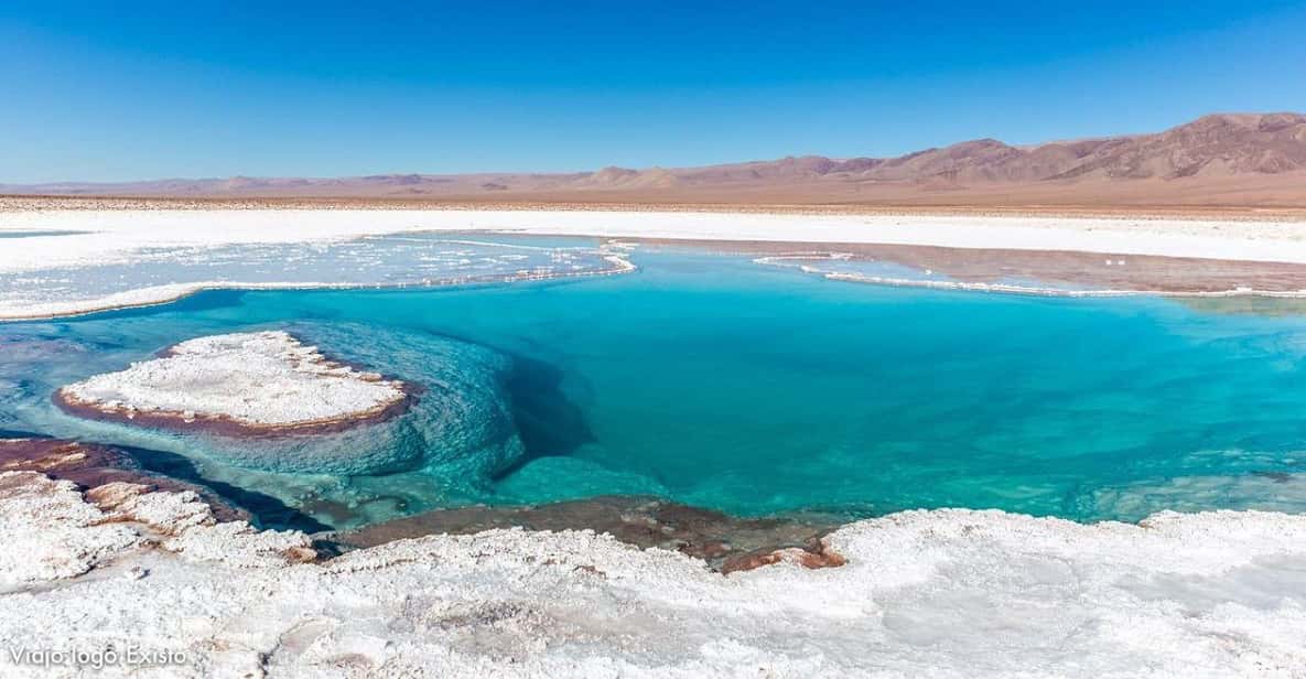 7 lagunas de Baltinache | San Pedro de Atacama | GetYourGuide