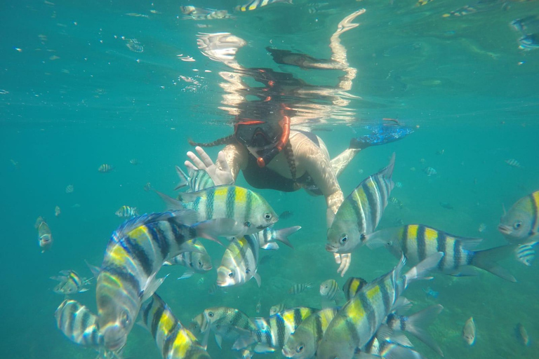 Excursão a Lombok e mergulho com snorkel: Gili Kedis, Nanggu e Sudak