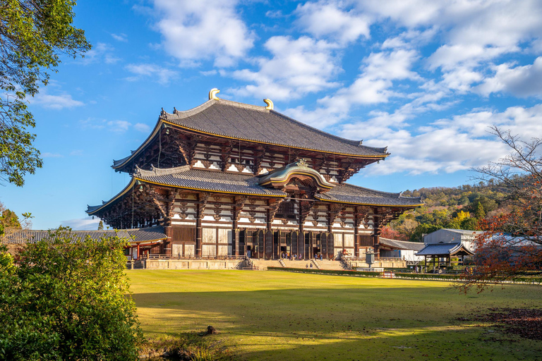 Kyoto: Nara Half-Day Small Group Tour