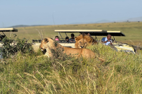 Parque Nacional de Amboseli: safari de 2 días y 1 noche